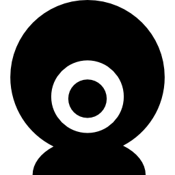 Webcam of spherical shape icon