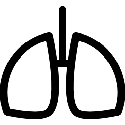 esquema de pulmones humanos icono