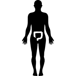 silhouette du corps humain avec surbrillance sur le gros intestin Icône