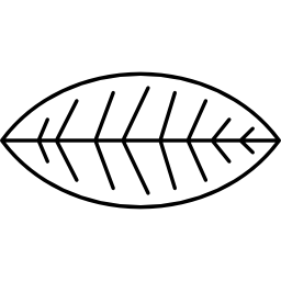 Leaf of a bush icon