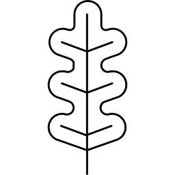 foglia della pianta con curve irregolari icona