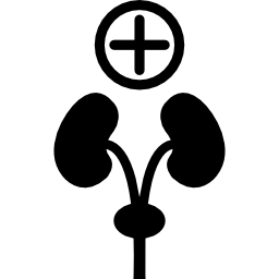 Plus sign and human organs icon