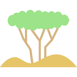 Tree icon