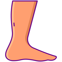 Ankle icon