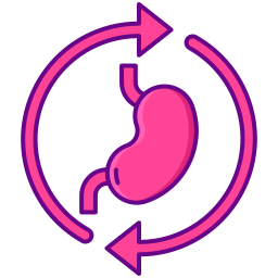 digestión icono