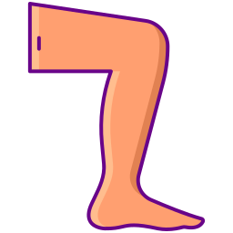 Leg icon