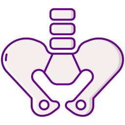 Pelvis icon