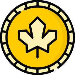 dollaro canadese icona