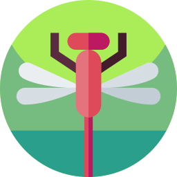 Dragonflies icon