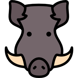 Boar icon