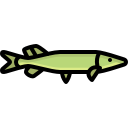 pike icon