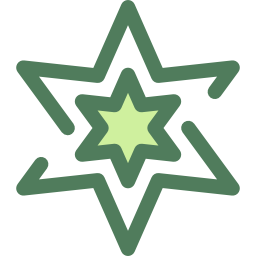 Star icon