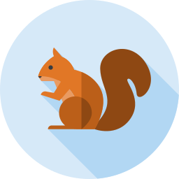 eichhörnchen icon