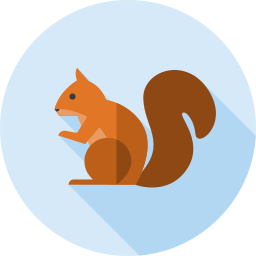 Squirrel icon