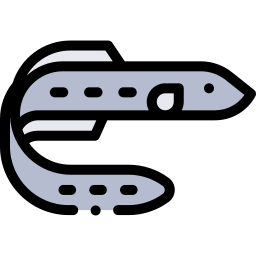 뱀장어 icon