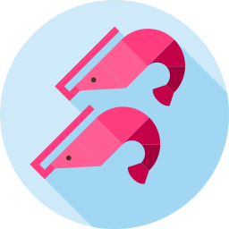 Shrimp icon