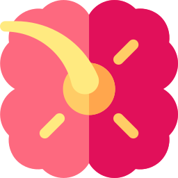 Hibiscus icon