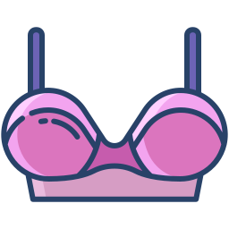 Bra icon