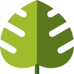 Monstera leaf icon