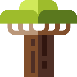 baobab icono