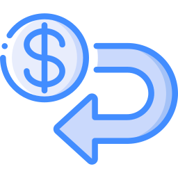 dollar icon