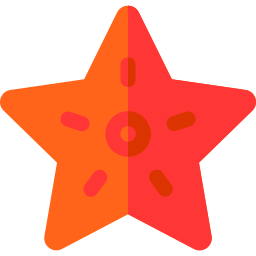 Starfish icon