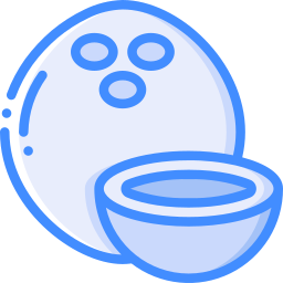 Coconut icon