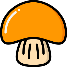 seta icono