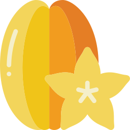 Star fruit icon