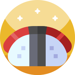 Sushi icon