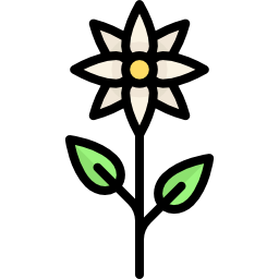 Flower icon