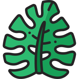 몬스 테라 잎 icon