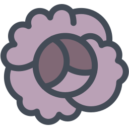 rotkohl icon