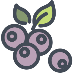 Blueberry icon