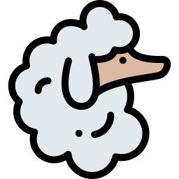 Poodle icon