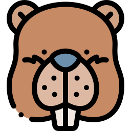 Beaver icon