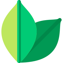 코카 잎 icon