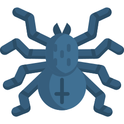 spinne icon