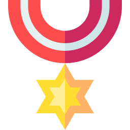 Medal icon