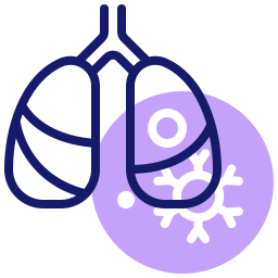 pulmones humanos icono
