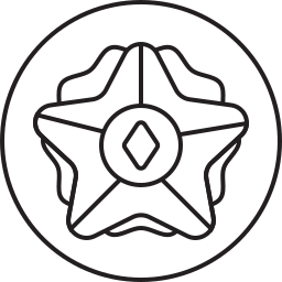 Star icon