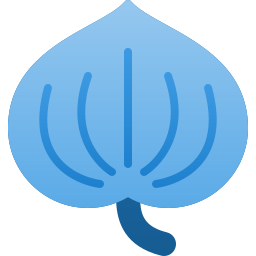 Plant leaf icon