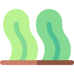 Seaweed icon