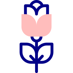 Rose icon