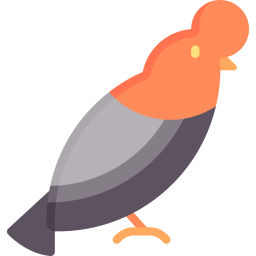 gallo de la roca icono