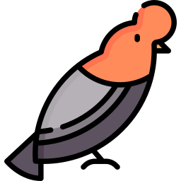Cock of the rock icon