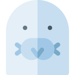 foca icona