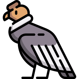kondor icon