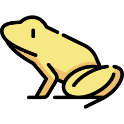 Golden dart frog icon