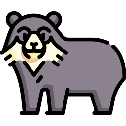 Spectacled bear icon